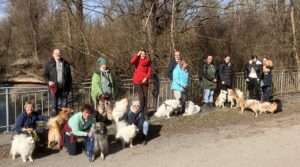 Rückschau Vorfrühlings-Spaziergang Stockerauer Au 2.3.2025
